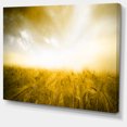 thumbnail image 2 of Yellow Meadow under Bright Sun - Landscape Canvas Art Print, 2 of 4