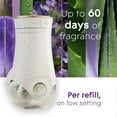 thumbnail image 2 of Glade Branchées® Huile parfumée Recharge, Lavande paisible et Aloès, 2 of 9