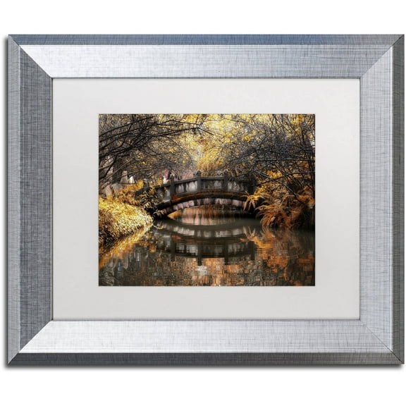 Trademark Fine Art "Dream Fall" Canvas Art by Philippe Hugonnard, White Matte, Silver Frame