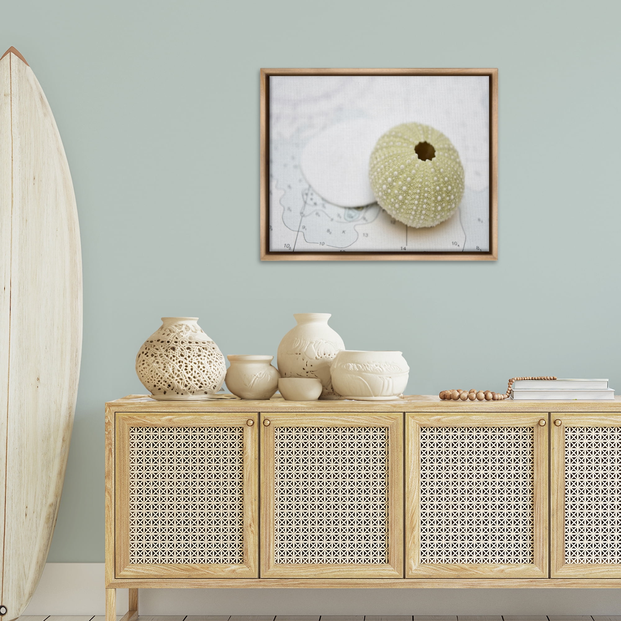 Stupell Industries Aquatic Sea Urchin Nautical & Beach Photography Brown Floater Framed Canvas Art Print Wall Art, 31 x 25