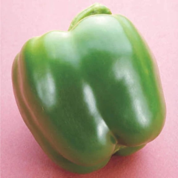 Harris Seeds - X3R Red Knight Bell Pepper  - 250 Seeds