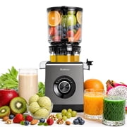 Bluebow Juicer Machines, Cold Press Juicer with 6.5" Extra Large Feed Chute, Slow Masticating Juicer Maker for Whole Vegetables and Fruits, High Juice Yield, Easy to Clean, Grey