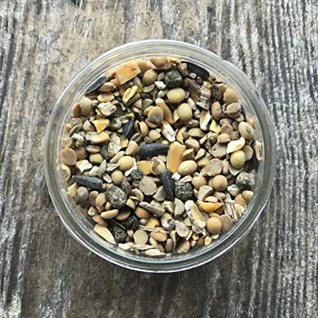 Homestead Harvest Non-GMO Turkey & Game Bird Grower 24% for Growing Turkeys, Peacocks, guineas, and Pheasants - 40 lb