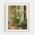 thumbnail image 2 of Floral Cobble Hill 02 - Brooklyn New York Photography Unframed Wall Art Print 11 x 14 inches, 2 of 13