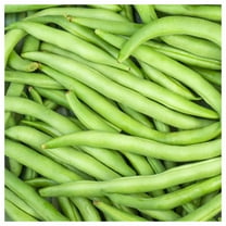 Everwilde Farms - 1/4 lb Kentucky Wonder 125 Pole Bean Seeds - Gold Vault Bulk Seed Packet