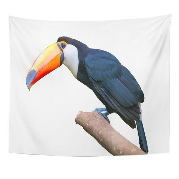 Refred Colorful Tucan Toucan Bird In Tree Branch On White Green Rainforest Amazon America Wall Art Hanging Tapestry Home Decor For Living Room Bedroom Dorm 51x60 Inch Walmart Com