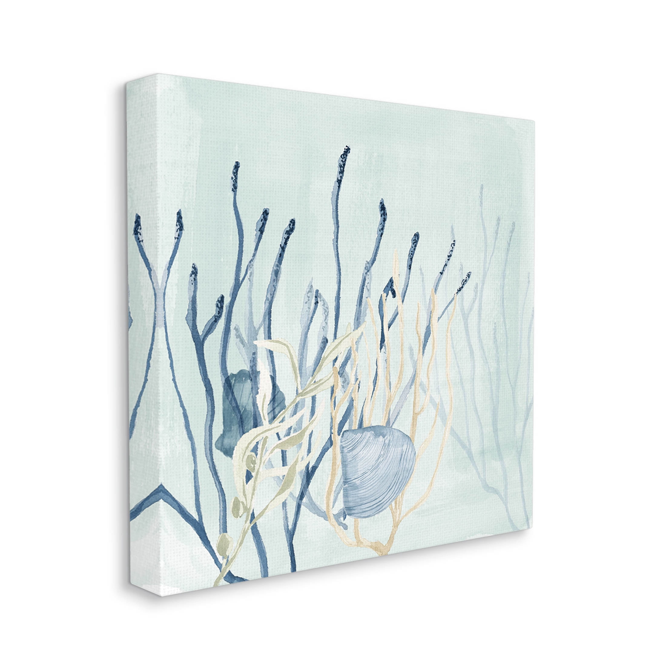 Layered Seashells Coral Underwater Animals & Insects Graphic Art Gallery Wrapped Canvas Print Wall Art