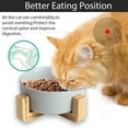 thumbnail image 4 of Cuenco para perros, comedero, comedero para perros y gatos con soporte, 4 of 6