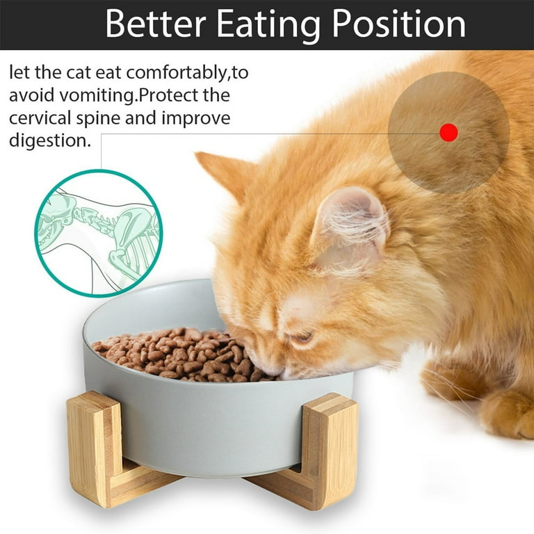 Pet Wood Bowls for Cat & Small Dogs