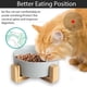 thumbnail image 4 of Cuenco para perros, comedero, comedero para perros y gatos con soporte, 4 of 6