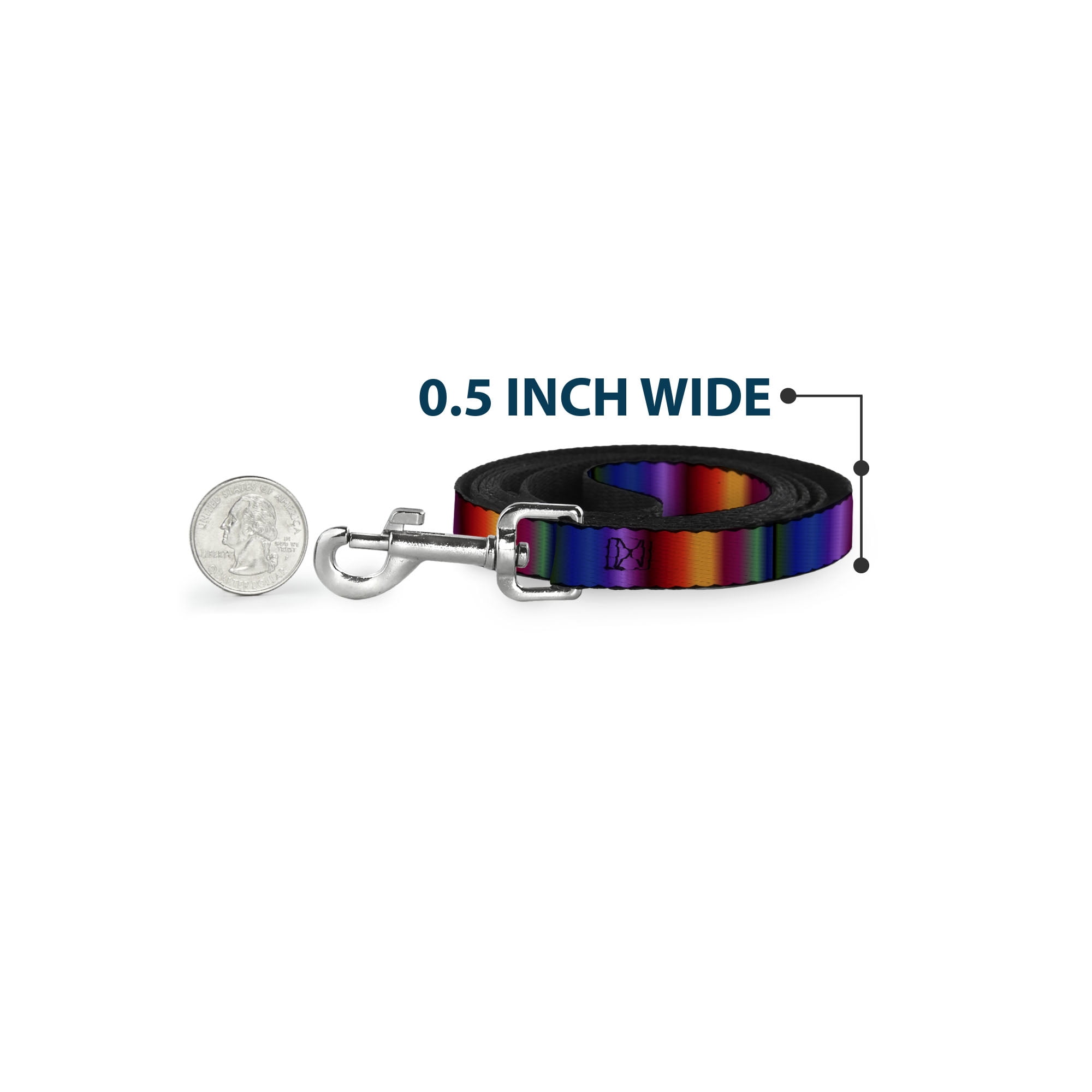Buckle-Down Pet Leash, Dog Leash, Zarape Vertical Multi Color Fade, 6 Feet Long 1.0 Inch Wide