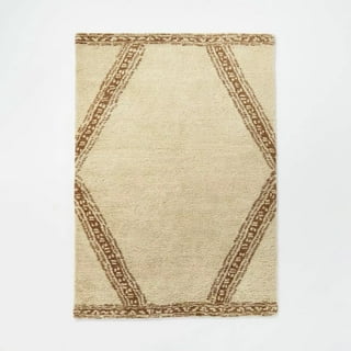 5' x 7'' Braided Outdoor Rug with Fringe Neutral/Ivory - Threshold™  designed with Studio McGee