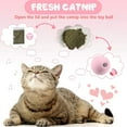 thumbnail image 4 of Cat Toy Ball - Interactive Cat Toys for Indoor Cats Refillable Catnip Toys for Cats Kitten Pet Cat Kicker Toys of Funny Lifelike Animal Chirping Sounds Bird Cricket Frog 3PCS B, 4 of 9