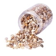 thumbnail image 1 of de caracol natural 2x1 Caja Multi Surtido Naturales Playa Marinas Decoración, 1 of 9