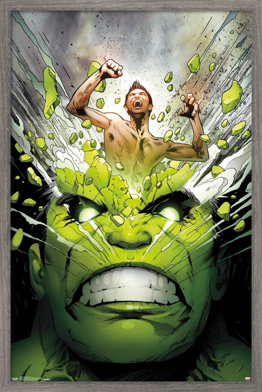 Marvel Comics The Incredible Hulk Cover Wall Poster X Framed