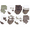 Forest Bear, variant on Hudson Baby Terry Socks, 8-Pack, Newborn-12 Months