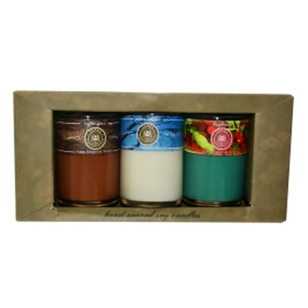 Candle Gift Set 3 Scented Soy Candle Tumblers Bayberry, Winter Solstice And...