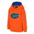 thumbnail image 2 of Toddler Colosseum  Orange Florida Gators Big Logo Volume Fleece Pullover Hoodie, 2 of 3