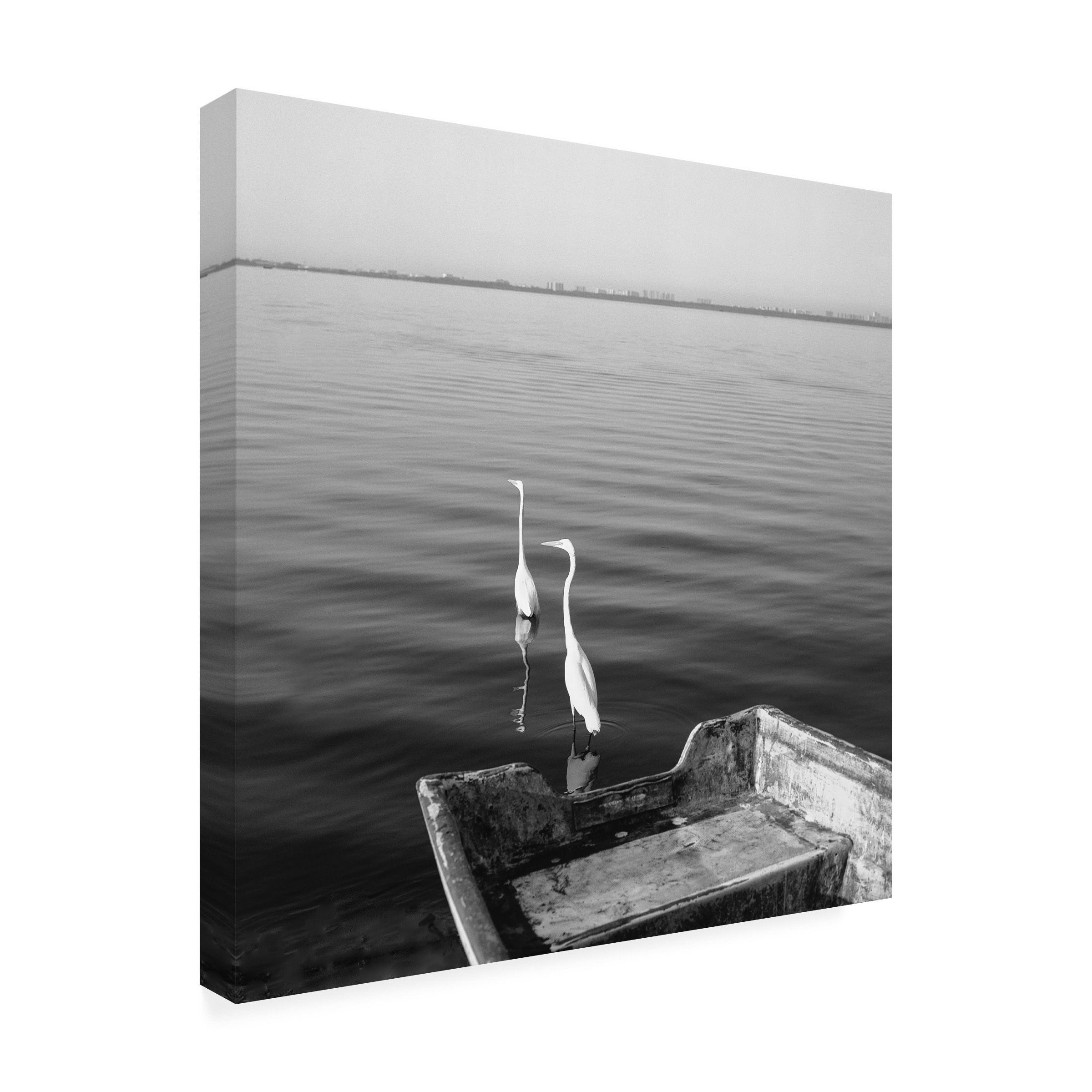 Moises Levy '2 Herons Leaving' Canvas Art