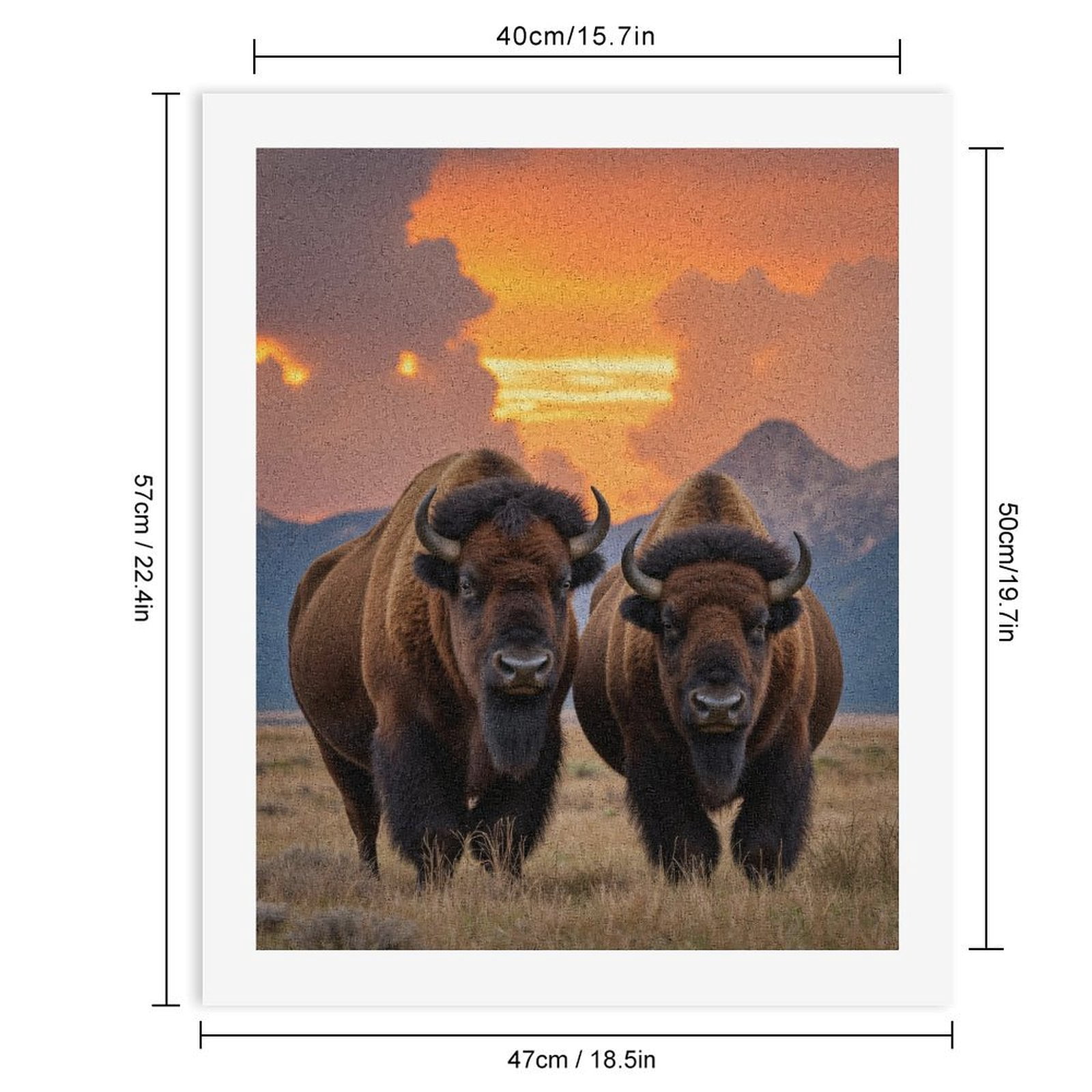 Paint By Numbers Kit for Adults Beginner - DIY Bison Sunset Mountain Landscape Canvas Painting Kits for Adults, Frameless Paint By Number for Adults for Home Wall Decor 16x20 Inch