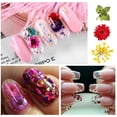thumbnail image 4 of 90 Uds. Flores secas para uñas, 36 colores, arte 3D para uñas, flores reales, pétalos secos naturales, decoración de hojas para decoración de manicura, 4 of 5