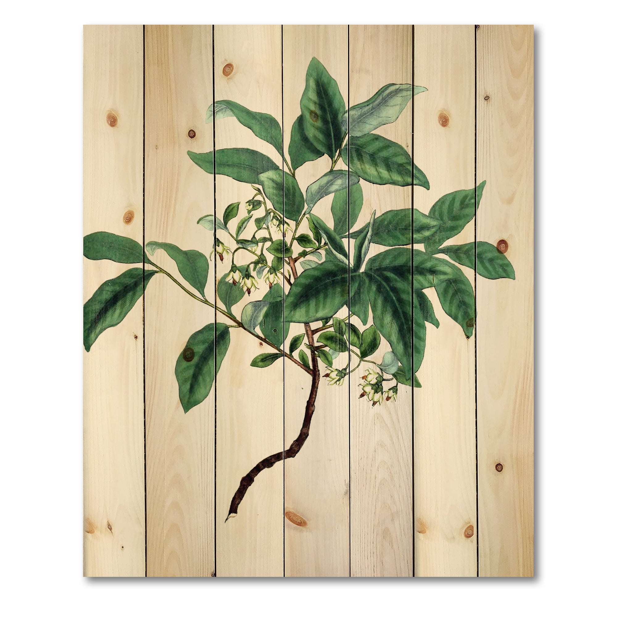 Designart 'Ancient Green Leaves Plants IV' Traditional Print on Natural Pine Wood