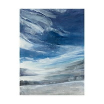 Trademark Fine Art 'The Lake Painting' Canvas Art by Albena Hristova