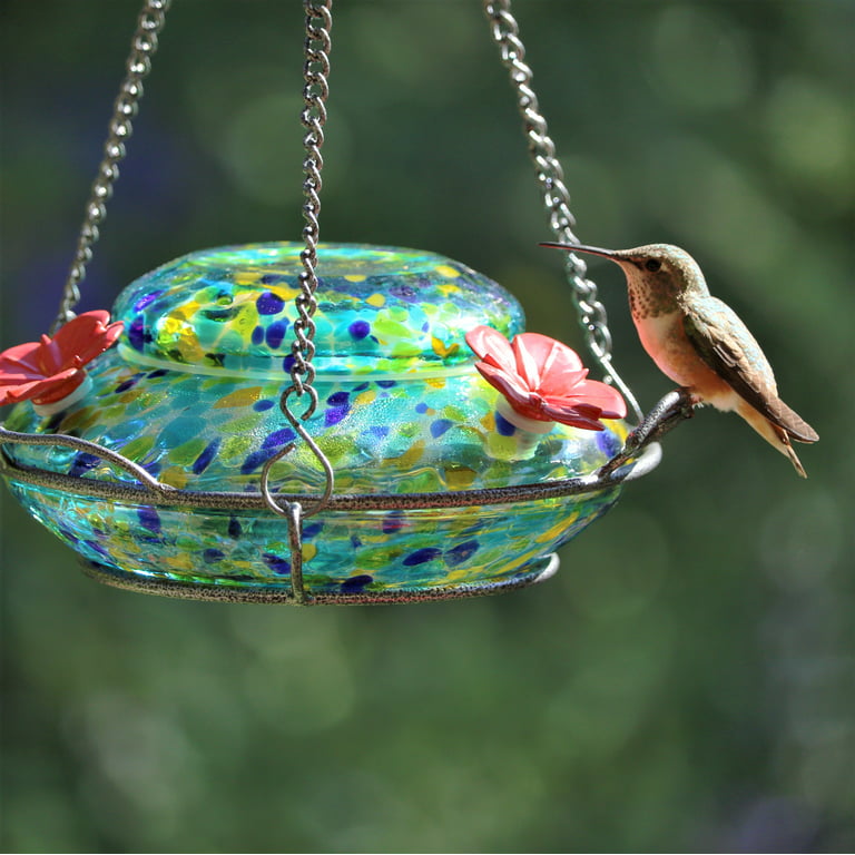 Ermete Hummingbird Feeder, Window Hummingbird  