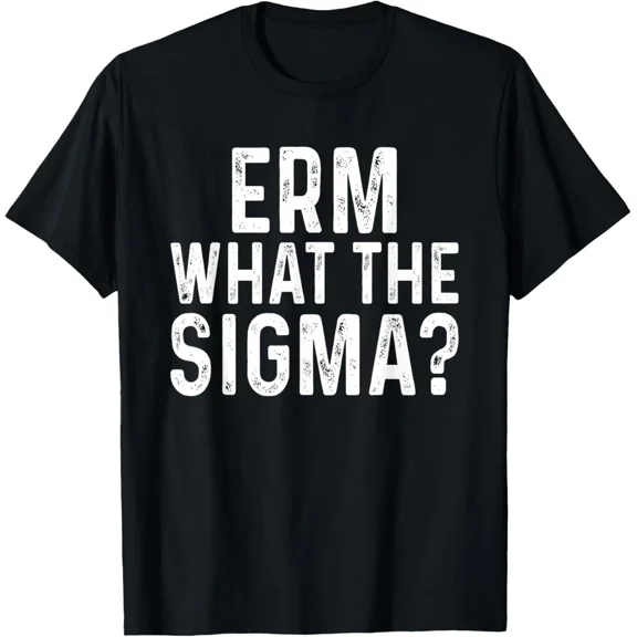 Erm What The Sigma Funny Meme Brainrot Nerd Humor T-Shirt