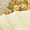 Gold, variant on 12 Pack 5.5" Artificial Poinsettia Christmas Tree Ornaments Decorations, Silver