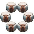 thumbnail image 3 of Coolnut 6PC Place Mats Highland Cow Round Placemat Heat-Resistant Placemats Dining Table Mat Circle Shape 15.4" for Kitchen/Dinner/Party/Restaurant Home Decor Gifts, 3 of 7