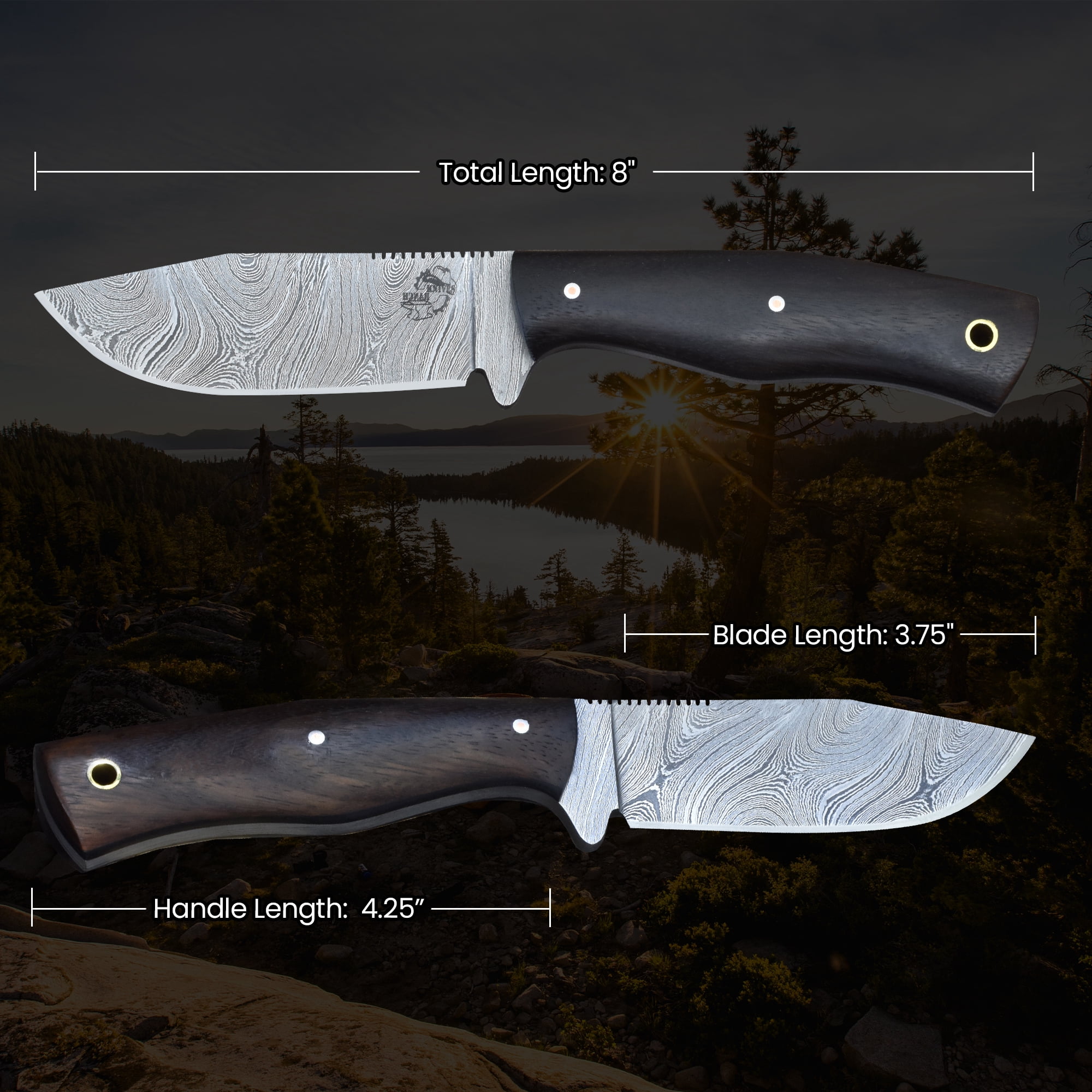Knives Ranch 3070 Damascus Steel Outdoor Knife with Rosewood Handle – Strong Fixed Blade for Hunting, Camping, Utility Use & Everyday Carry Gear