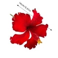 thumbnail image 3 of Flower Hair Accessories for Women, Artificial Floral Girls Hair Accessories for Beach Wedding Party, Summer Bloom Hair for Bridal Shower, Tropical Flower Ponytail Holder for Daily Wear,D, 3 of 6