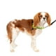thumbnail image 1 of Arnés para perros PetSafe® Deluxe Easy Walk® sin tirar, tamaño pequeño, 1 of 6