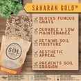 thumbnail image 5 of Sol Soils Original Sol Topper - Decorative Grey, Gold & Red Rock Soil Topper for Potted Plants & Succulents, Natural Pest Barrier, 5 of 8