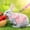 Pink,A, variant on Bunny Clothes Rabbit Harness And Leash Set,Bunny Leash For Walking Escape Proof,Bunny Clothes With Cute Bow Mesh Breathable Adjustable Vest Rabbit Harness Camping Hiking Training