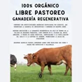 thumbnail image 5 of Caldo De Huesos Liofilizado Primitiva 200g Bone Broth 40porc, 5 of 5