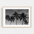 thumbnail image 2 of Hawaiian Palms - Hawaii Photography Black and White Palm Tree Tropical Minimalist Beach Nature Coastal Unframed Wall Art Print 30 x 40 inches, 2 of 12