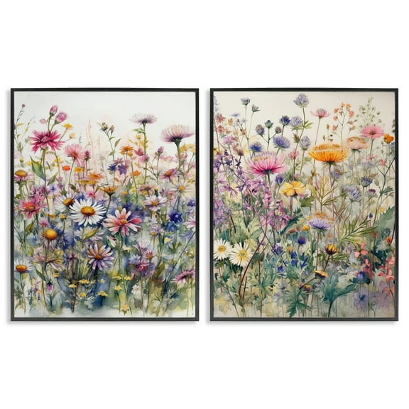 Stupell Industries Watercolor Daisy & Aster Field Plants & Flowers Painting Black Framed Art Print Wall Art, 11 x 14, Set of 2
