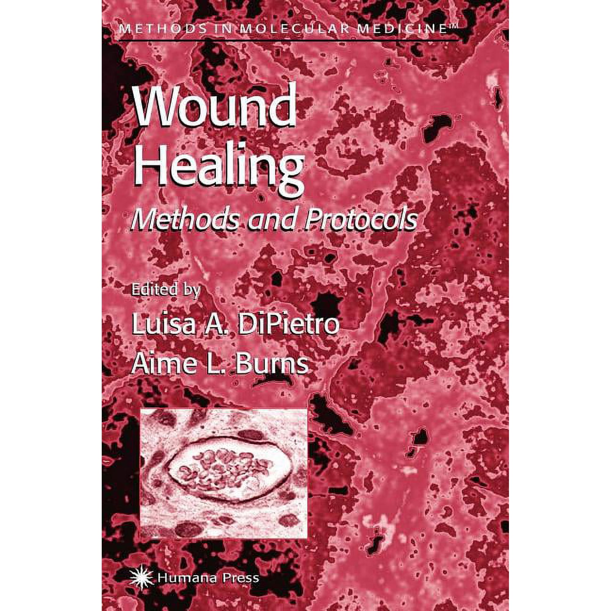 Methods in Molecular Medicine Wound Healing: Methods and Protocols Book 78 (Paperback)