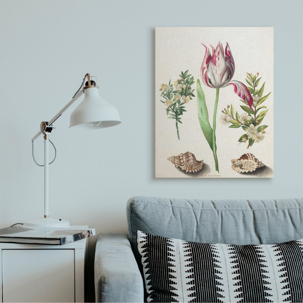 Stupell Industries Exotic Tropical Pink Floral Illustration with Nautical Shells Canvas Wall Art Design by Ziwei Li