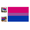 1PC cc2, variant on Bi Pride Flag Set LGBTQ Bisexual Banner 3x5 FT for Pride Month Parade Outdoor UV Fade Resistant Polyester with Grommets (1PC)
