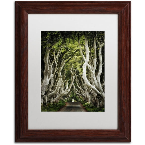 Trademark Fine Art "Romantic Avenue" Canvas Art by Philippe Sainte-Laudy, White Matte, Wood Frame