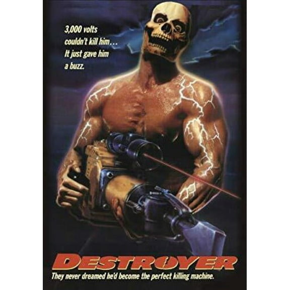 Destroyer (DVD)