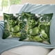 thumbnail image 3 of Hulk Fundas de almohada de terciopelo con tema, regalos de funda de almohada, decoración para el hogar, cojín de lanzar, regalo de cumpleaños para fans y parejas. 50cm x 50cm., 3 of 6