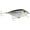 Black Crappie, variant on Storm Original Thinfin 06 Shallow/Medium Diving Crankbait