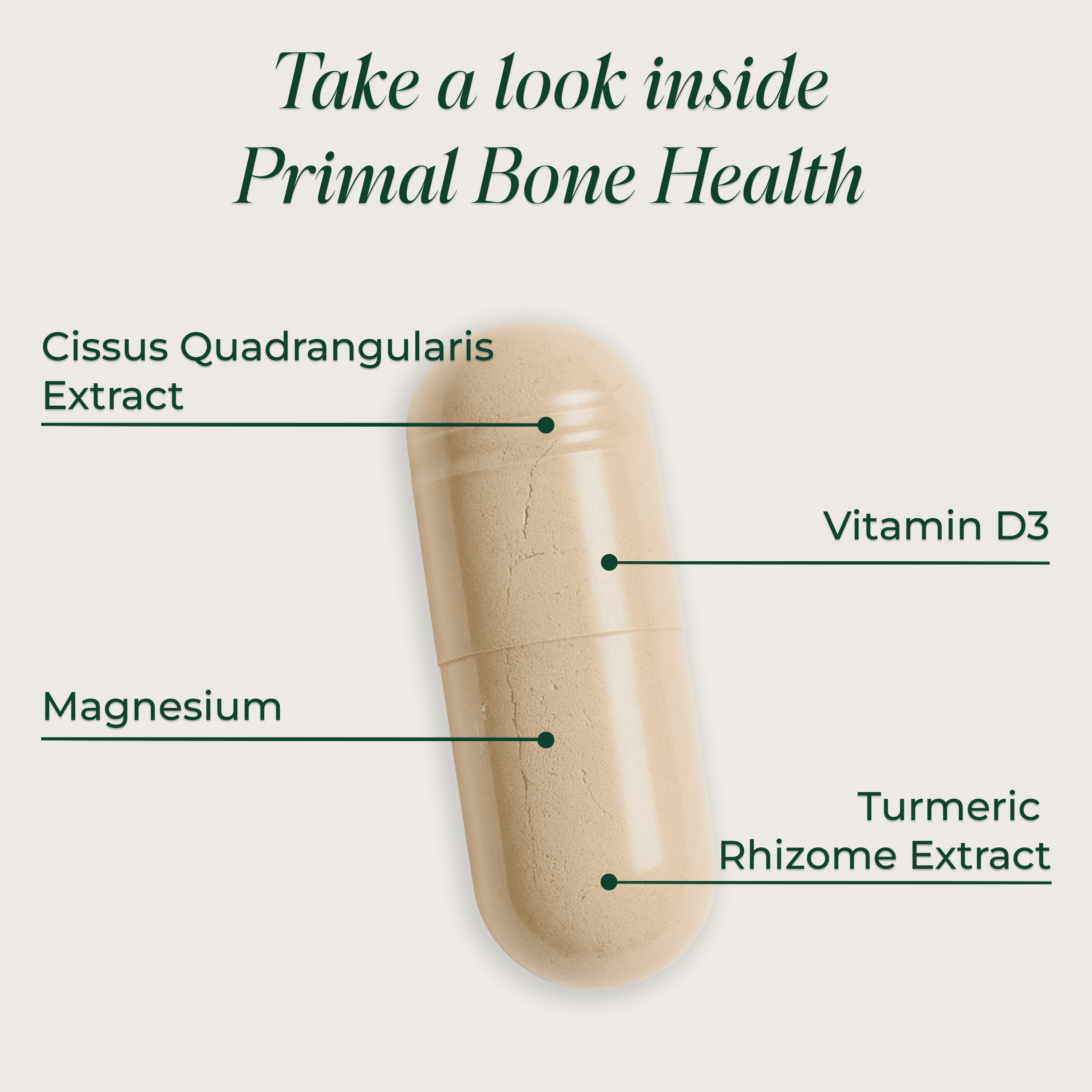 Primal Harvest Primal Bone Health Calcium Complex Capsules for Musculoskeletal Flexibility, 120 Count