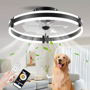 BAYSQUIRREL Ceiling Fans with Lights and Remote, Dimmable Bladeless Ceiling Light, 3 Colors 6 Speeds Reversible, Modern Low Profile Flush Mount Ceiling Fan for Living Room