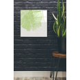 thumbnail image 2 of Epic Art 'Lime Slice' by Linda Woods, Acrylic Glass Wall Art, 24"x24", 2 of 3