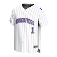 thumbnail image 2 of Youth GameDay Greats White TCU Horned Frogs Lightweight Collegiate Baseball Fashion Jersey, 2 of 3